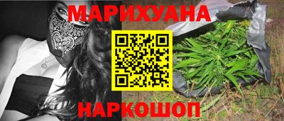 сатива Коммунар