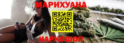 сатива Коммунар